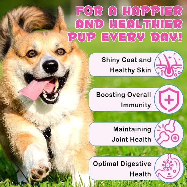 Thumbnail 2 de Collagène liquide pour chiens 100 ml