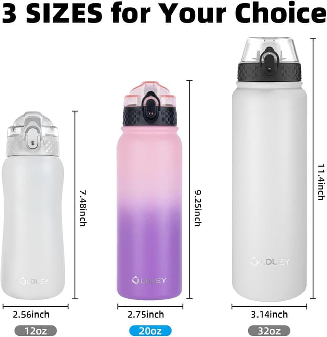 Detalle de OLDLEY 20oz Insulated Stainless Steel Water Bottle (Straw & 3 Lids) in Ombre Pink-Purple