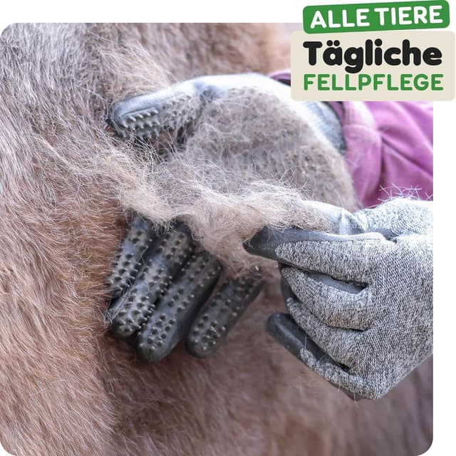 Detalle 2 de DR Zoo Fellpflegehandschuh Gr. M für Hunde und Katzen 🎗