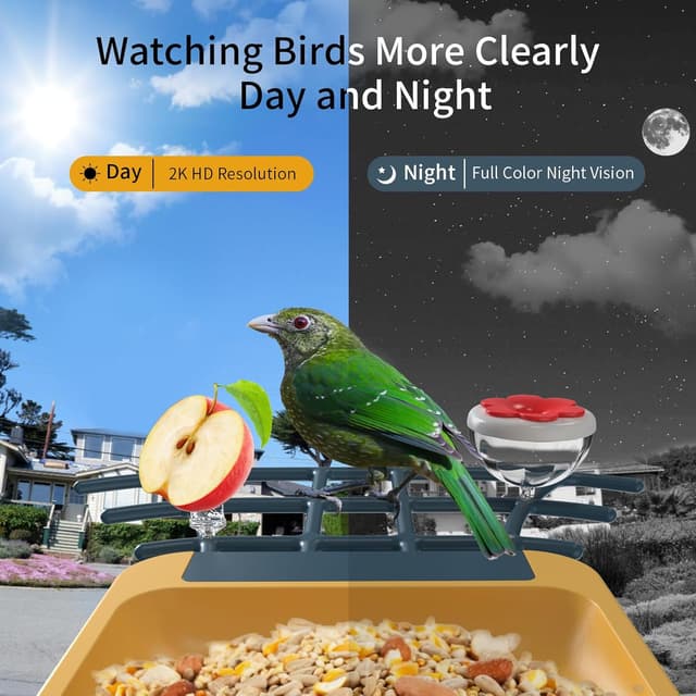 Detalle 2 de oddkont Bird Feeder with Camera 2K smart feeder