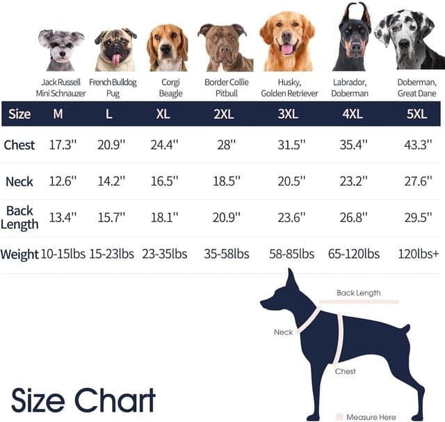 Detalle 2 de IECOii Dog Jumper Large