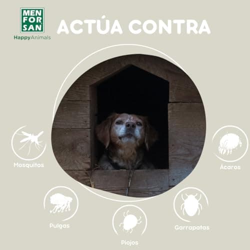 Detalle 2 de MENFORSAN Insecticida para Perros - 250 ml 🐾