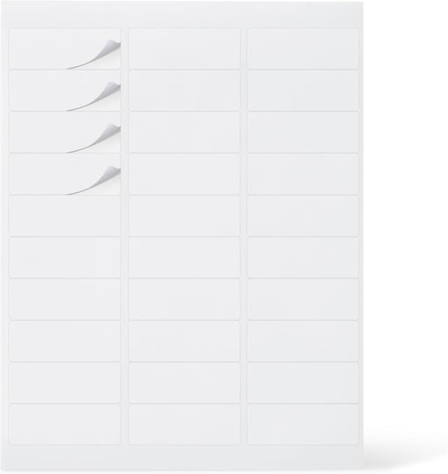 Detalle de Amazon Basics Etichette 2,5 x 6,7 cm