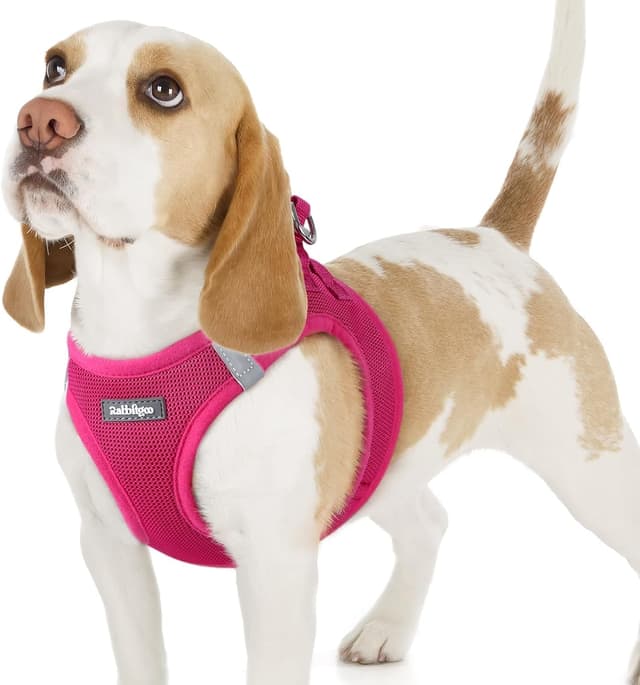 Detalle de rabbitgoo Dog Harness M step-in lightweight