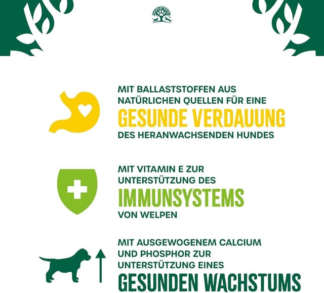 Detalle de James WELLBELOVED 6 x 800 g Hund Junior Dose Nassfutter in Pastete – Huhn