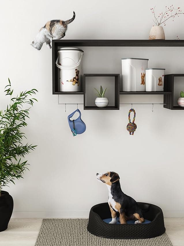 Detalle 2 de Curver Contenedor de Alimentos para Mascotas 2 L