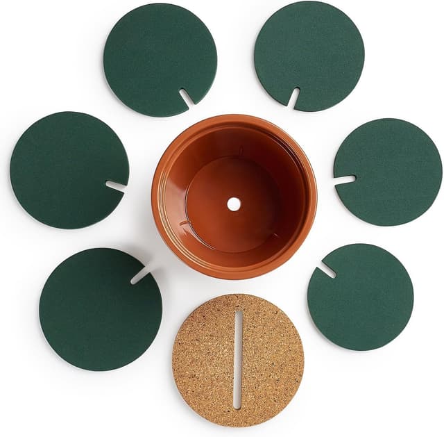 Detalle de Fdit set sottobicchieri cactus in 6 pezzi