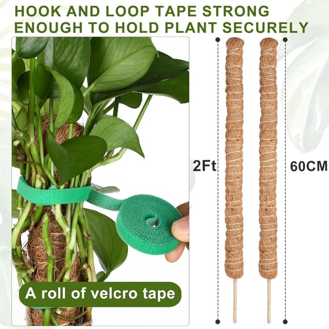 Detalle 2 de Joaercs Moss Pole 60 cm plant support for climbers