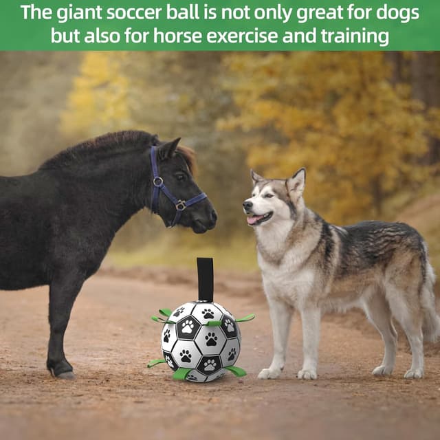 Thumbnail 4 de HETOO dog football 9 inch for tug