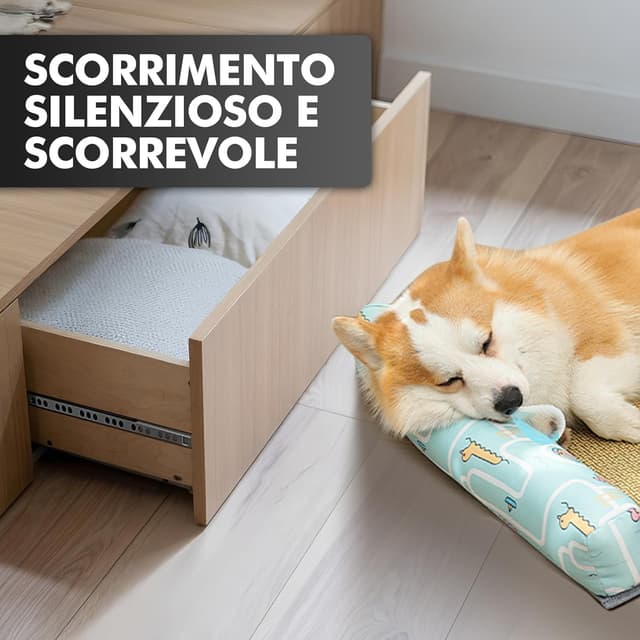 Thumbnail 5 de Shinfly-Guide per cassetti 310 mm set 2