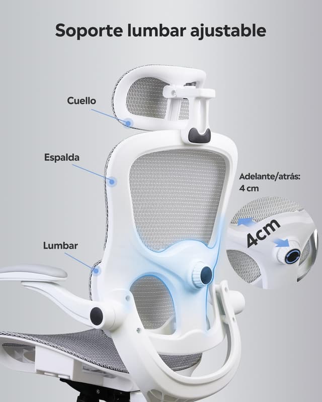 Thumbnail 2 de DEVAISE Silla de Oficina Ergonómica 180 kg