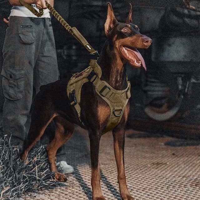 Detalle de OneTigris Tactical Dog Training Bungee Leash with 2 Control Handles (Quick Release Nylon Leads Rope)