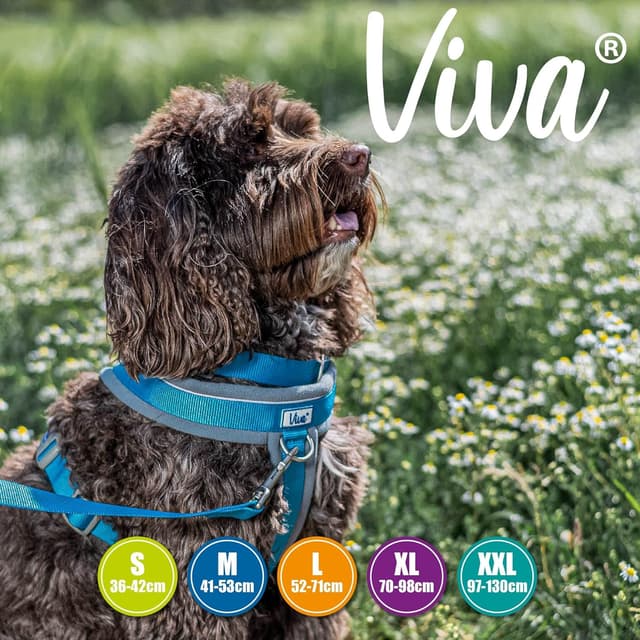 Thumbnail 6 de Ancol Viva Padded Harness in Blue (Large, 52–71cm) – comfortable, reflective dog harness