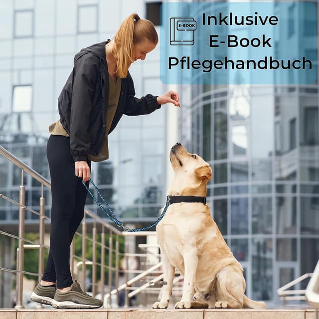 Thumbnail 5 de Golden Pets Hundeleine reflektierend 2 m 🐕