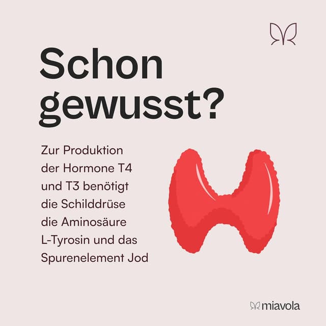 Thumbnail 2 de miavola Schilddrüsen Komplex Kapseln 60 Stk. 💊
