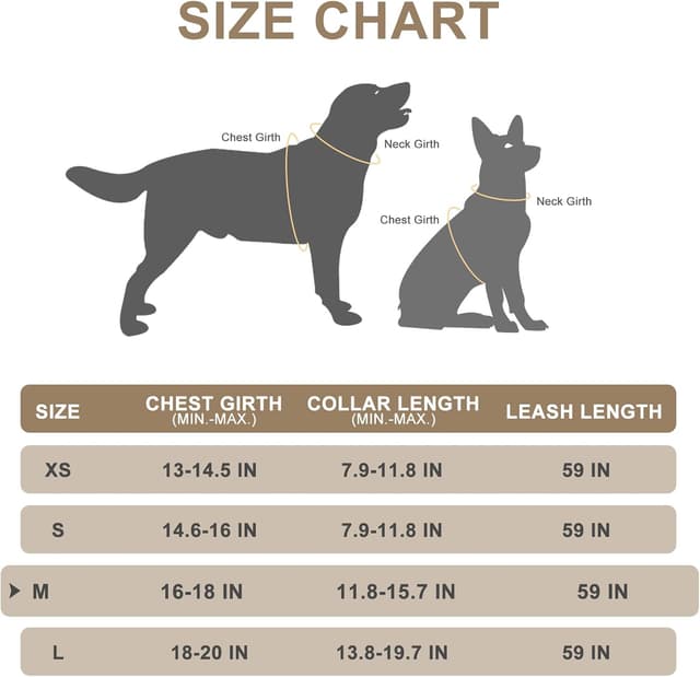 Detalle de EXPAWLORER Hundegeschirr-Set mit Leine und Halsband (kariert, mittel, rosa) – kleines Outfit für Spaziergänge