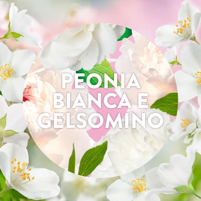 Thumbnail 3 de Air Wick Diffusore Elettrico oli essenziali 120 giorni