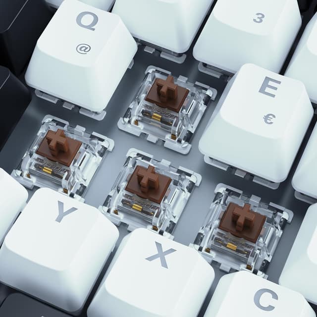 Detalle de Sharkoon SKILLER SGK50 S3 Gaming-Tastatur (75% Layout, Gateron Brown, RGB, weiß) – vorinstallierte Schalter, QMK/VIA
