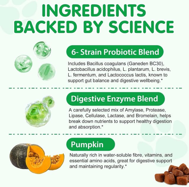 Thumbnail 6 de Bieyoc Probióticos para perros 120 Chews 🐕