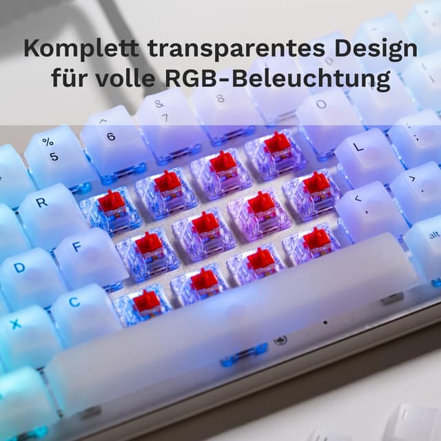 Detalle 2 de GLORIOUS Fox Linear Switches 110er Pack