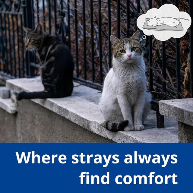 Thumbnail 5 de Petace Tapis chauffant 50 x 40 cm 🐾