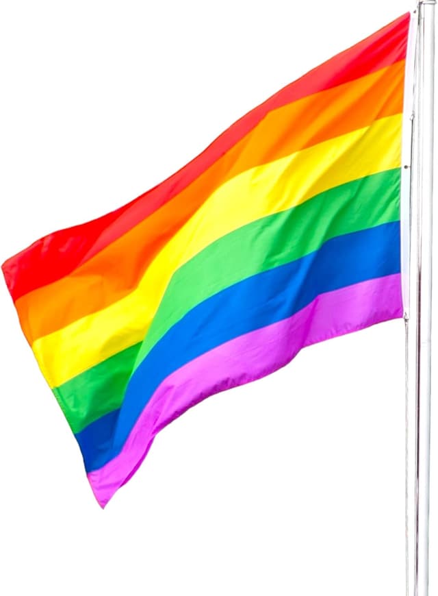 Detalle de LGBTQ Fahne 90x150 cm