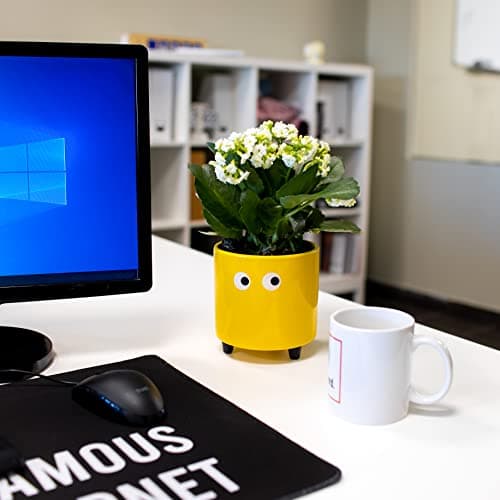 Thumbnail 2 de Fisura Macetero Original ojos amarillo 13×12,5 cm 🌱