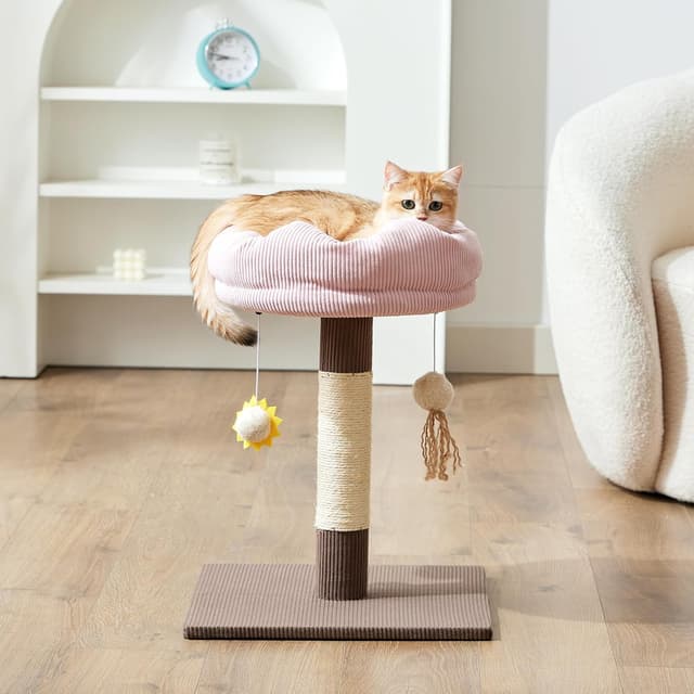 Detalle de Gardner Pet Kleiner Katzenbaum (51 cm) mit gepolsterter Plattform, geflochtenem Sisal und Plüschball