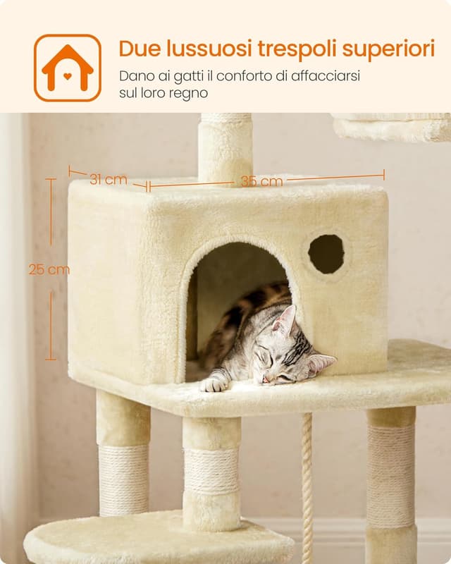 Thumbnail 5 de Feandrea PCT15BEV1 albero per gatti 143 cm