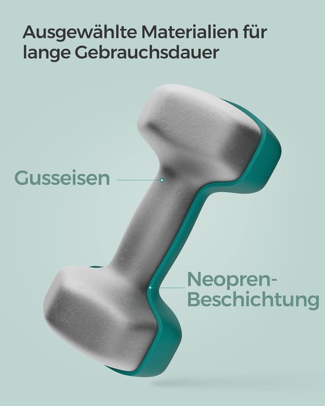 Detalle de SONGMICS Hexagon-Hanteln (2er-Set) mit Neoprenbeschichtung für Krafttraining & Fitness zu Hause