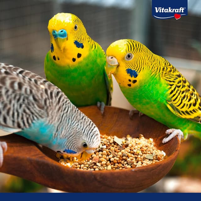 Thumbnail 6 de Vitakraft Menu 10 kg nourriture perruches 🐦
