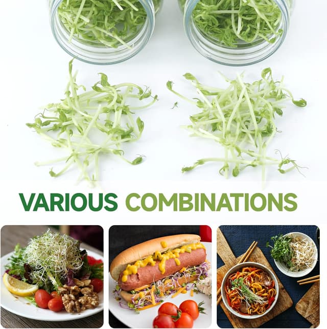 Thumbnail 4 de Sprossenglas Set 2er 1000 ml Keimglas