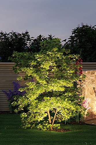 Thumbnail 7 de Paulmann 93934 Foco Plug & Shine 6W 3000K 100°