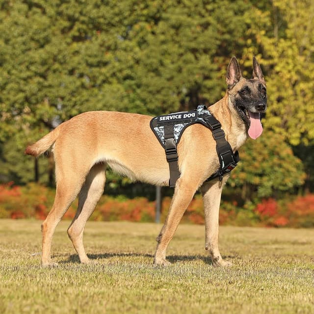 Thumbnail 6 de Belababy Tactical Anti Pull Dog Harness (Size L) with Front Clip, Handle & MOLLE panels – Blue Camo