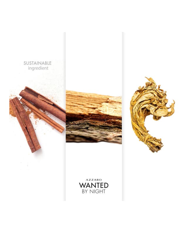 Detalle de Azzaro Wanted by night perfume 100 ml