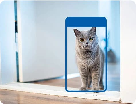 Thumbnail 10 de TP-Link Tapo C230 3er-Pack 3K