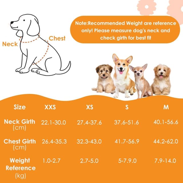 Detalle 2 de Eyein Small Dog Harness and Lead Set (Soft Mesh, Black, Size M)