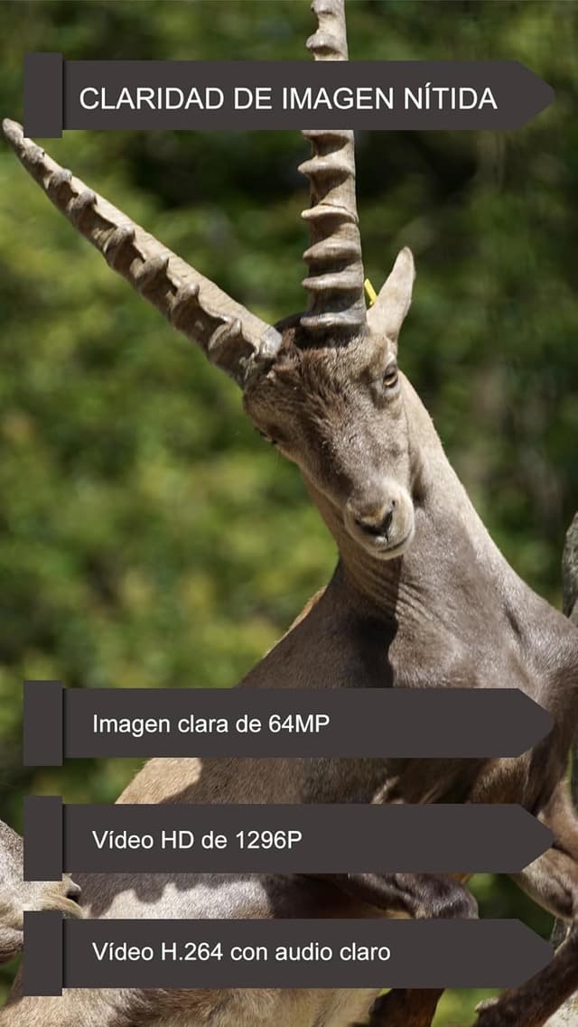 Detalle 2 de GardePro E6P MAX Cámara de caza 8000mAh