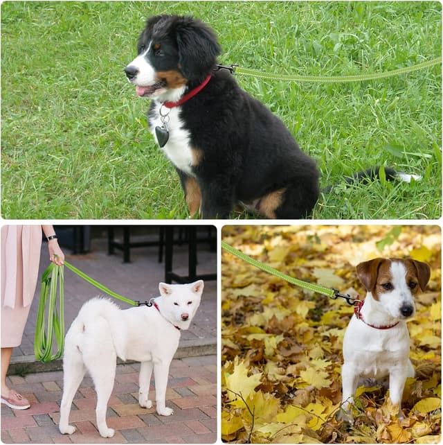 Thumbnail 5 de Demigreat Schleppleine mit Reflektoren 10 m