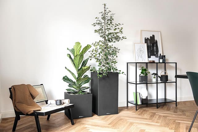 Thumbnail 5 de Lechuza Canto Color 30x30x30cm Komplettset graphitschwarz