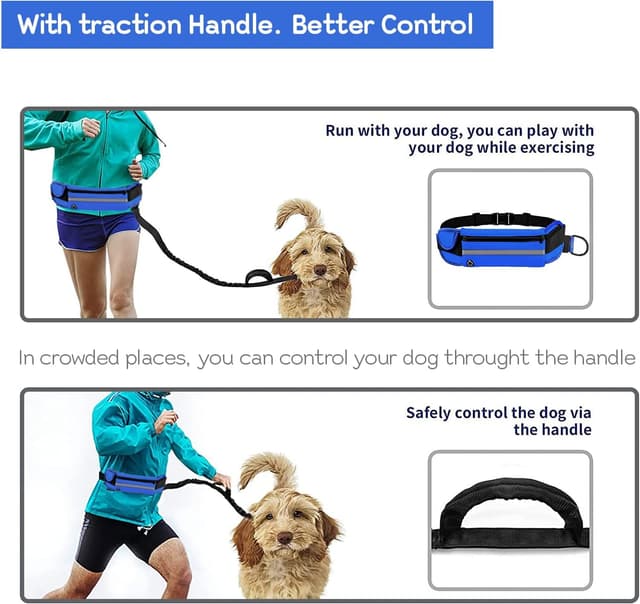 Detalle de Edipets Joggingleine für Hunde freihändig (Laufen & Wandern) mit Gurtband, reflektierend, 160–220 cm – Blau