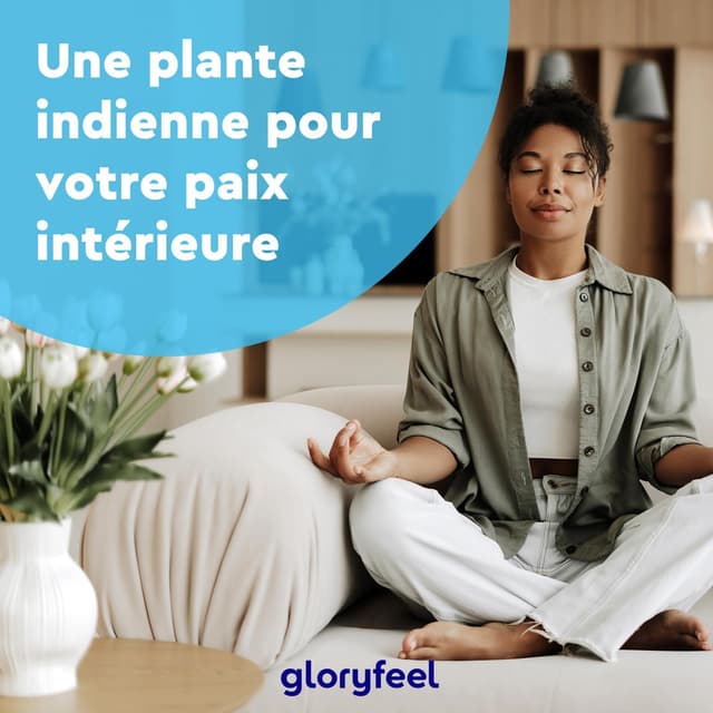 Thumbnail 6 de Gélules d’ashwagandha bio (baie du sommeil) Fortement dosées : 1 980 mg par jour