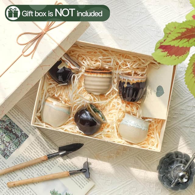 Thumbnail 4 de T4U Small Ceramic Succulent Pots set of 6