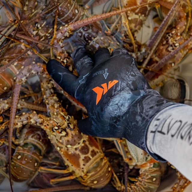 Thumbnail 6 de KastKing IceRiver Waterproof Fishing Gloves โ Cold-Ready ๐ฃ