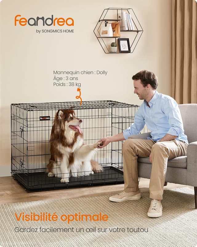 Detalle 2 de Feandrea PPD48H Cage chien XXL 122×74,5×80,5 cm
