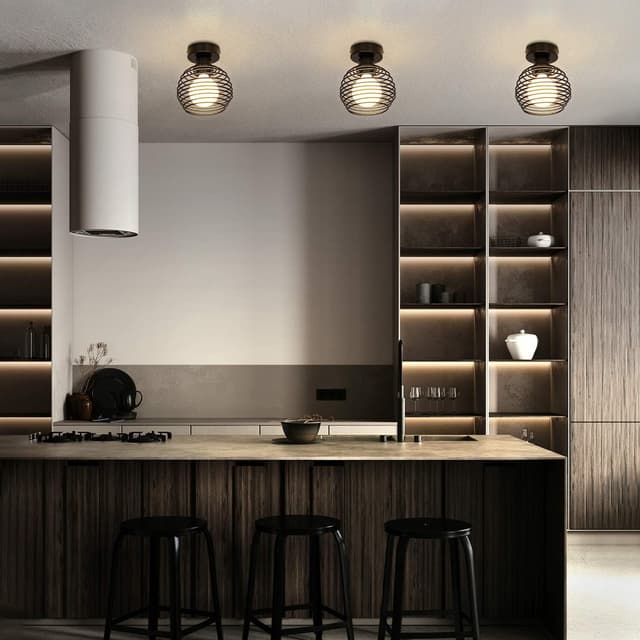 Thumbnail 8 de ZMH 2ER Vintage Techo Lámpara Schwarz 💡 E27 Retro Industrias