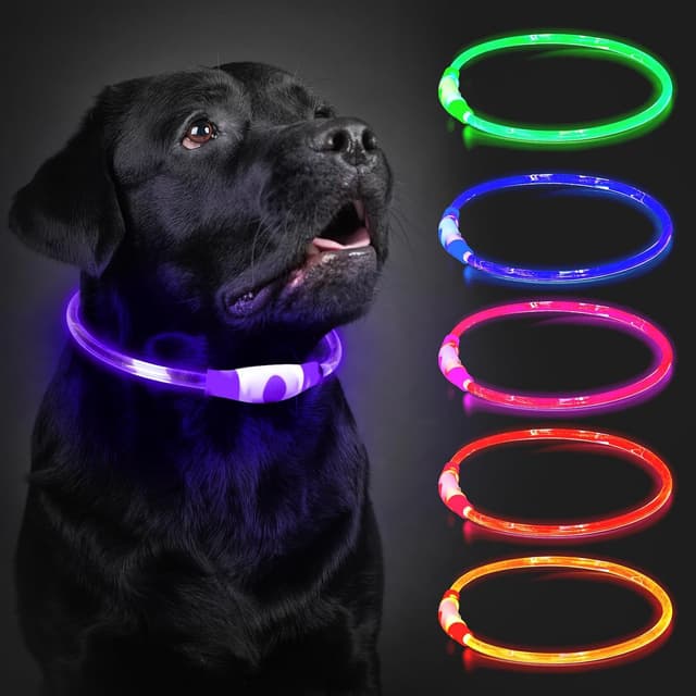 Detalle de Leuchthalsband für den Hund (aufladbar) – LED, wasserdicht, 3 Lichtmodi, Violett, 70 cm