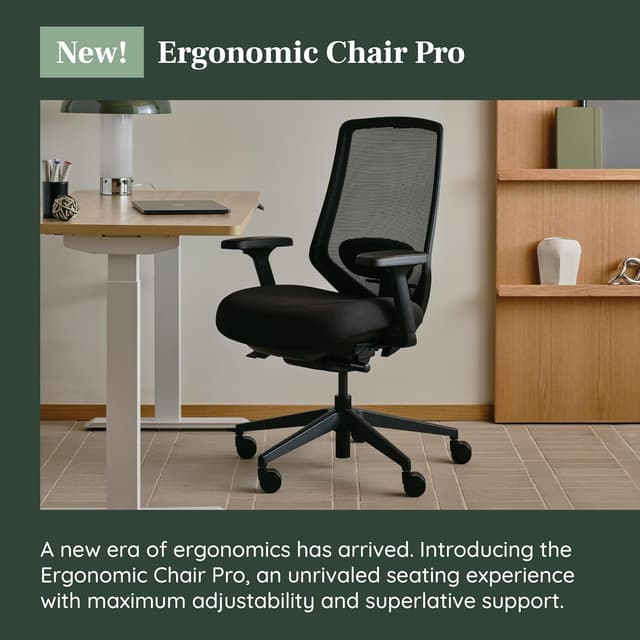 Detalle 2 de Branch Ergonomic Chair Pro mesh chair