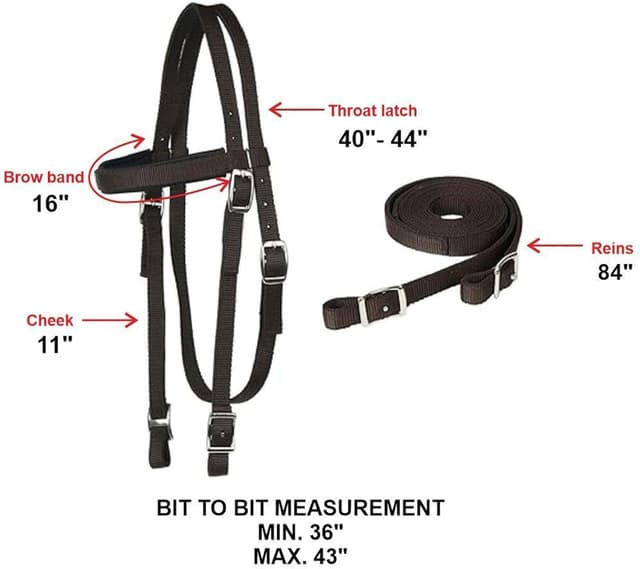 Detalle 2 de Majestic Ally Nylon Padded Browband Headstall Full