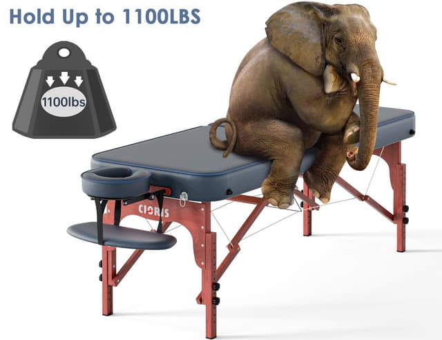 Detalle de CLORIS 84" Portable Massage Table